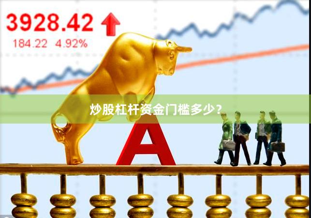 炒股杠杆资金门槛多少？