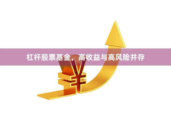杠杆股票基金，高收益与高风险并存