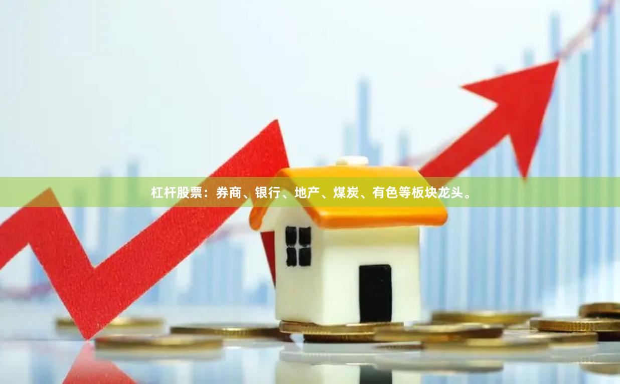 杠杆股票：券商、银行、地产、煤炭、有色等板块龙头。